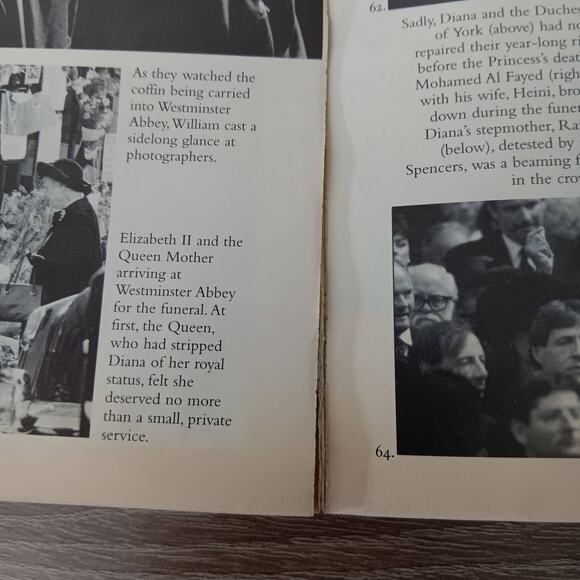 The Day Diana Died - Paperback, by Andersen Christopher - Picture 9 of 9